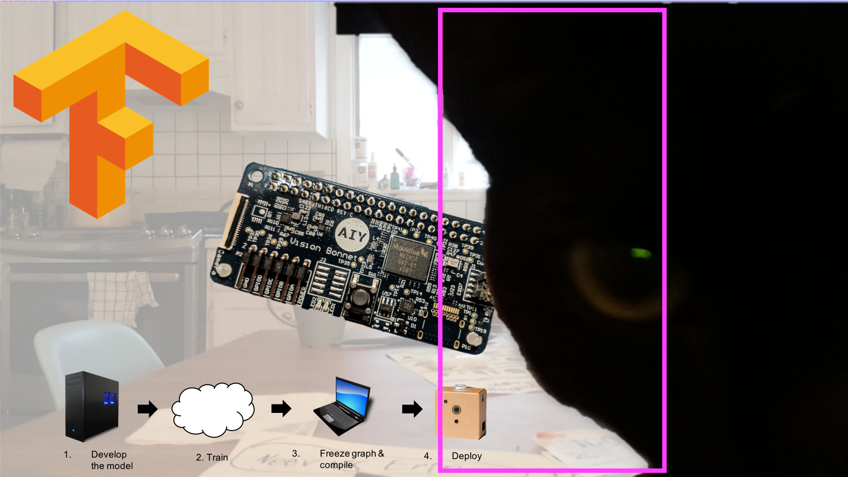 Computer Vision Training, the AIY Vision Kit, and Cats